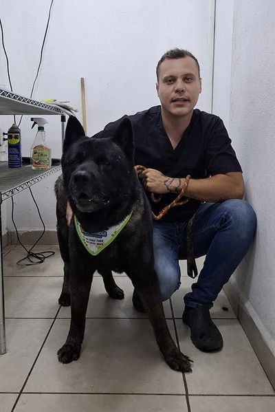 DOGGYLANDIA