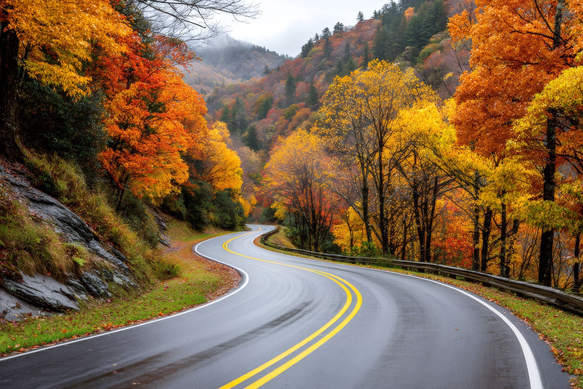 A winding road surrounded by trees in autumn