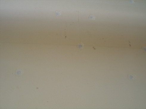 Colore beige di una parete