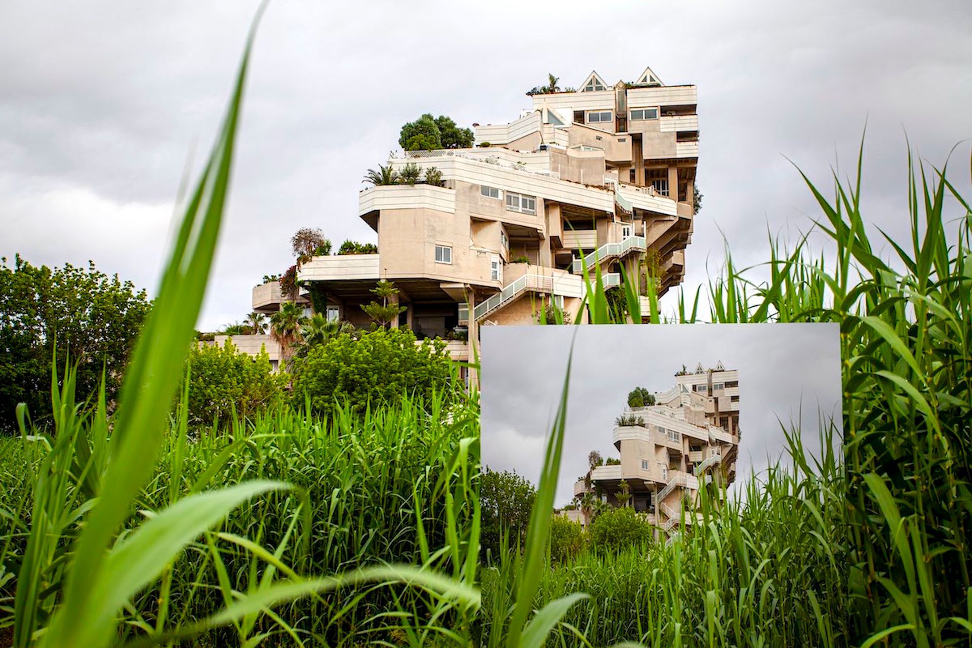 Modern apartment building behind tall green grass, with a small inset view of the same scene