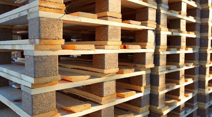 GREEN PALLETS - personal y la maquinaria necesaria
