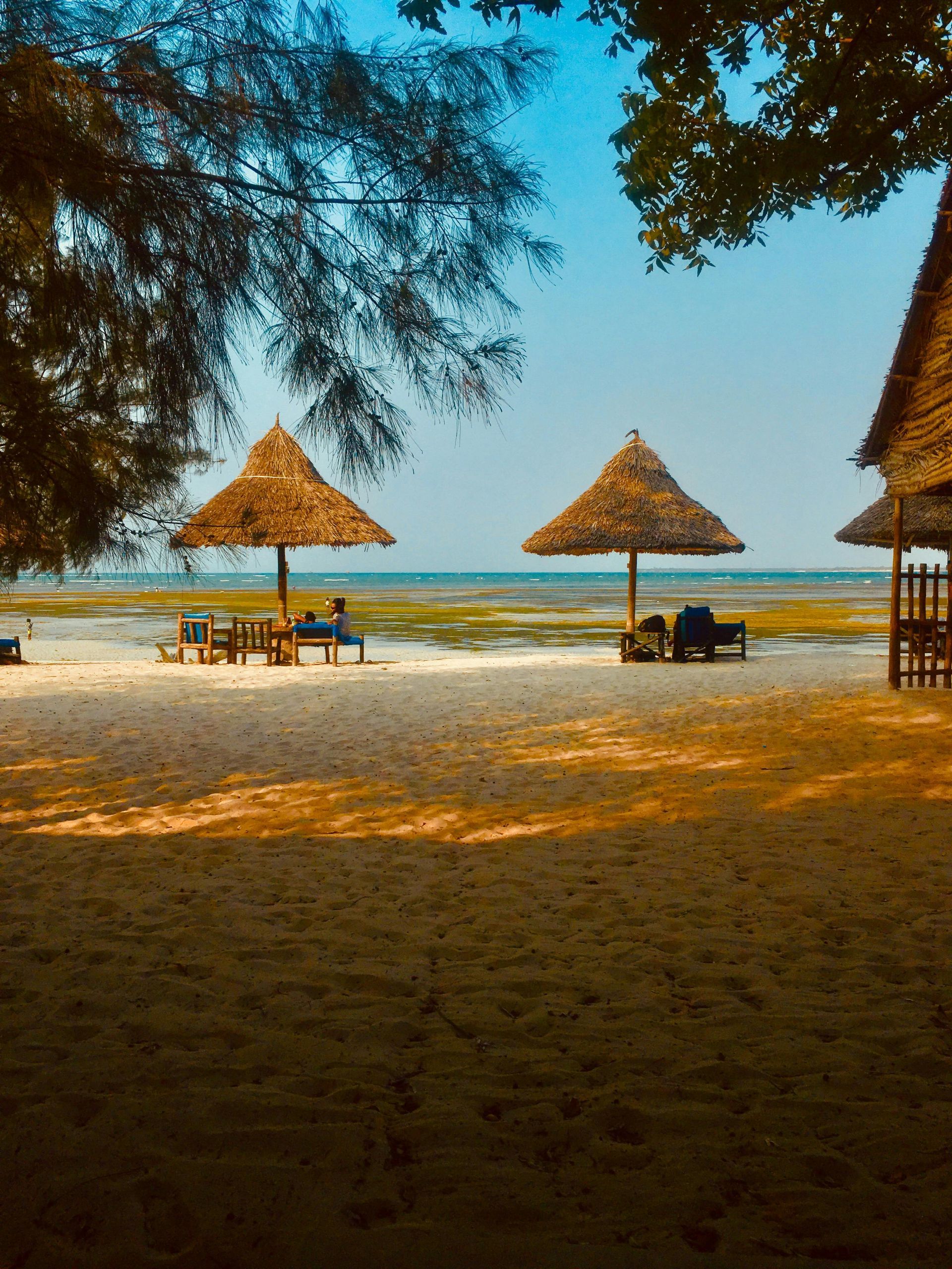 Beach with thatched umbrellas, tables, and chairs on a sandy shore under a blue sky.