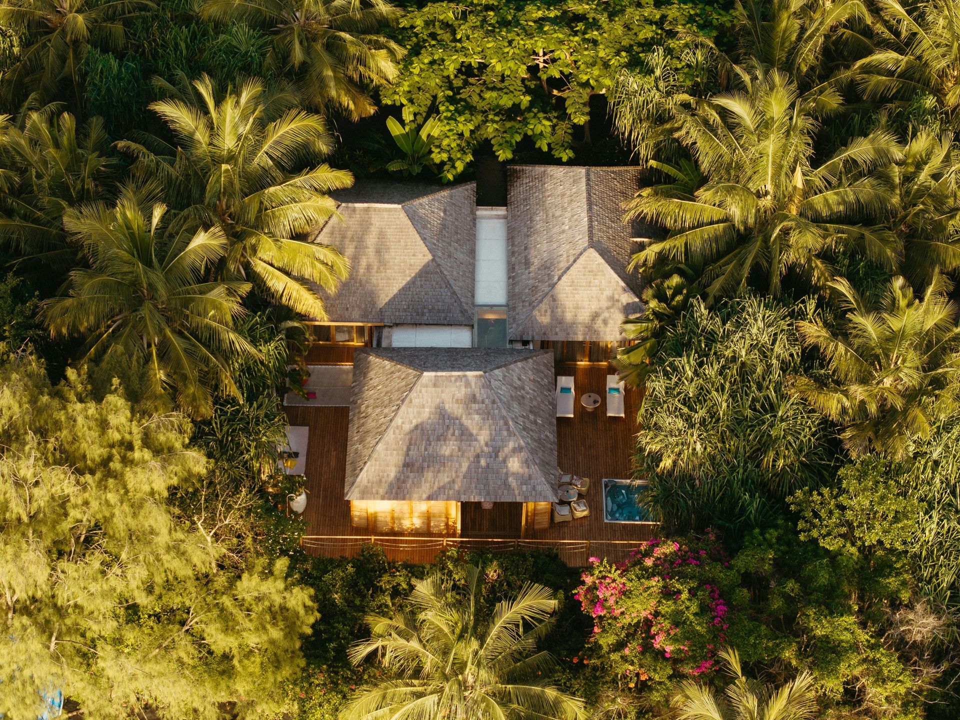 Aerial view of a wooden house nestled among lush green palm trees and foliage.