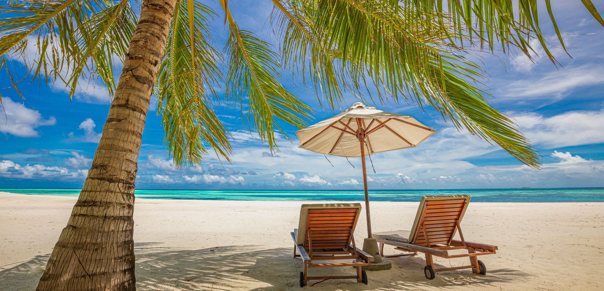 Beach scene: palm tree, lounge chairs under umbrella on sandy beach, ocean in background.
