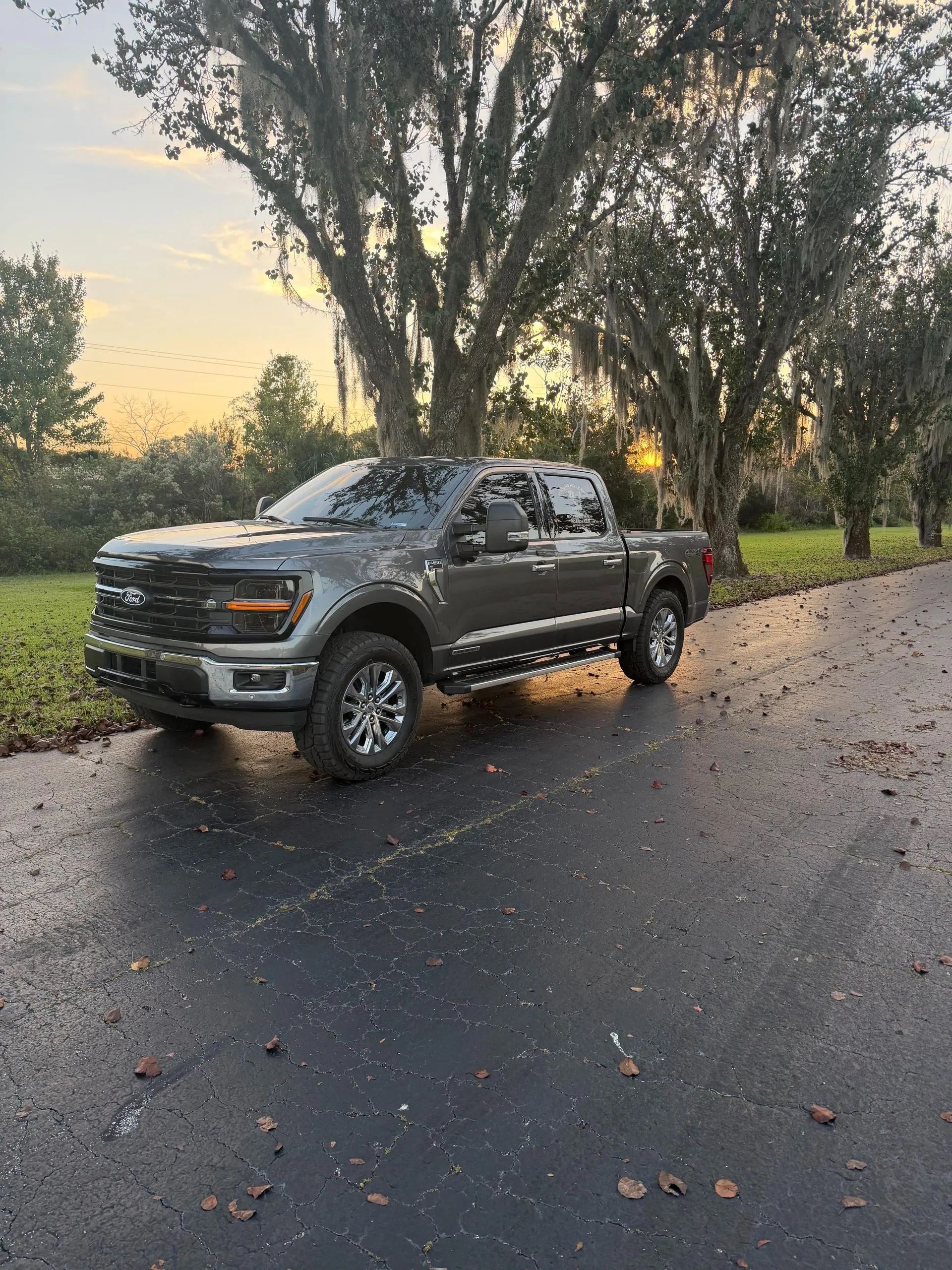 Gray Ford pickup truck parked on a wet road at sunset, with trees in the background.