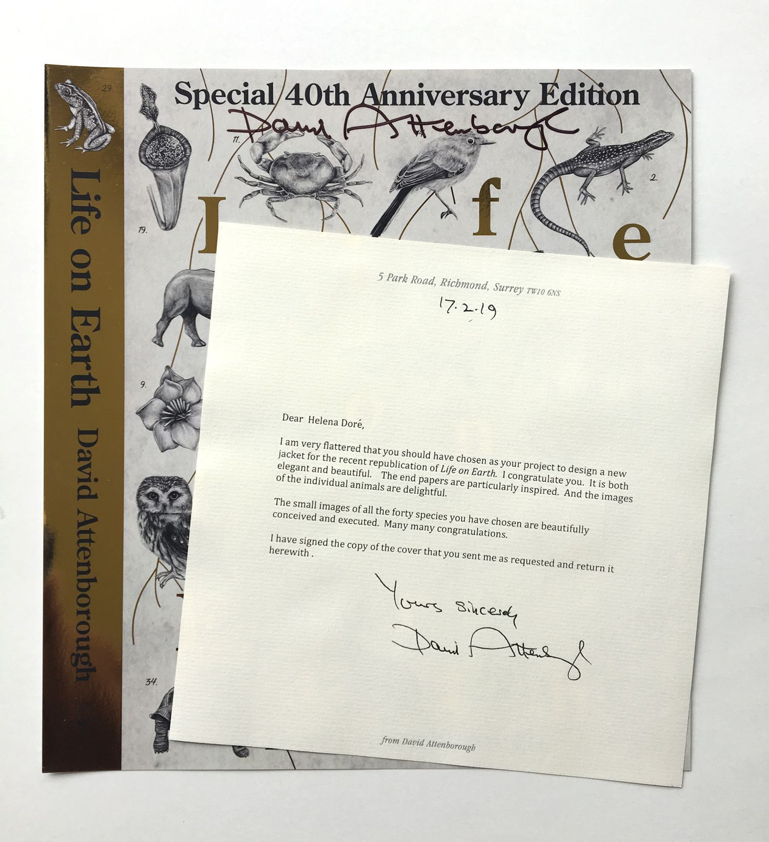 personal illustrated book cover of sir david attenborough‘s ‘life on earth’ signed by david attenborough designed and illustrated by helena dore illustration and design
