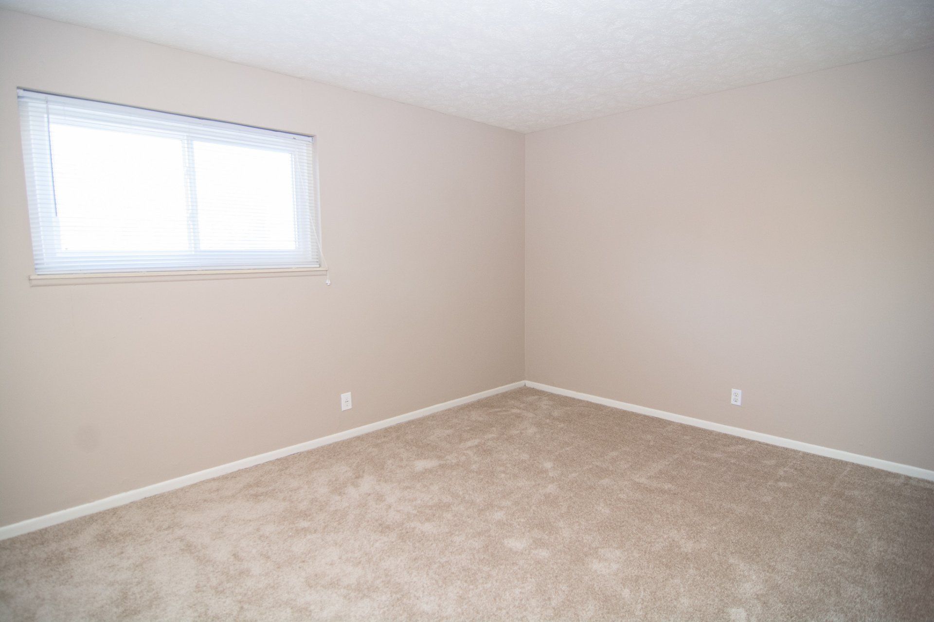 Spring aces photo gallery