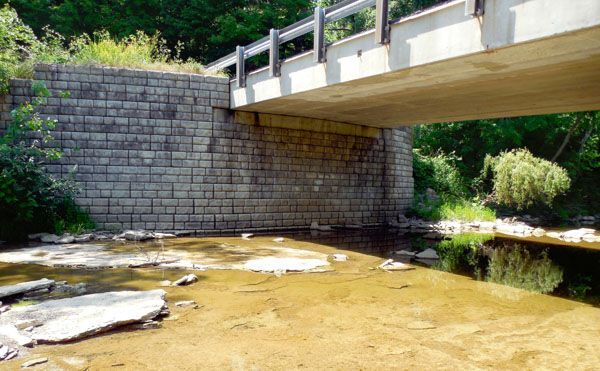 A bridge over a river in the middle of a forest.