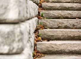 A close up of a stone staircase with leaves on the steps.