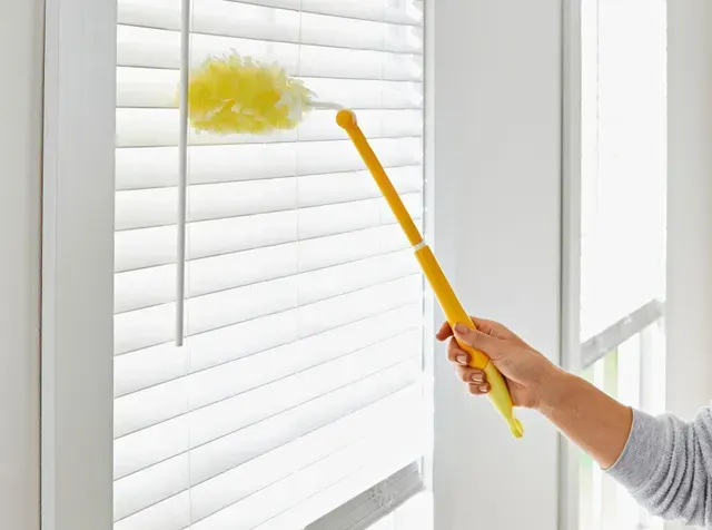 Cleaning and Maintenance Tips