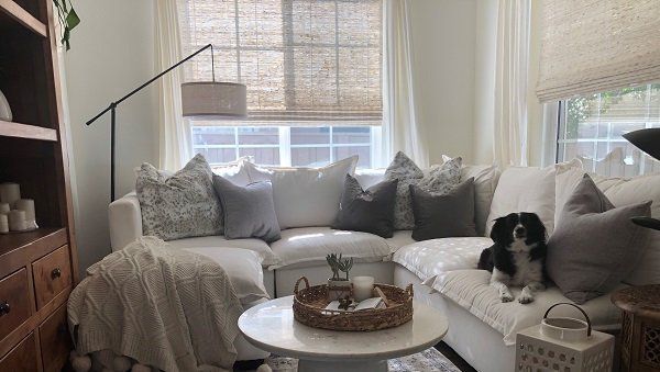 Cost and Value Considerations