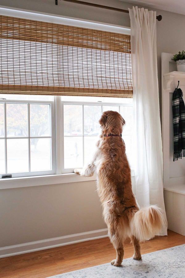 Dog Proof Bamboo Shades