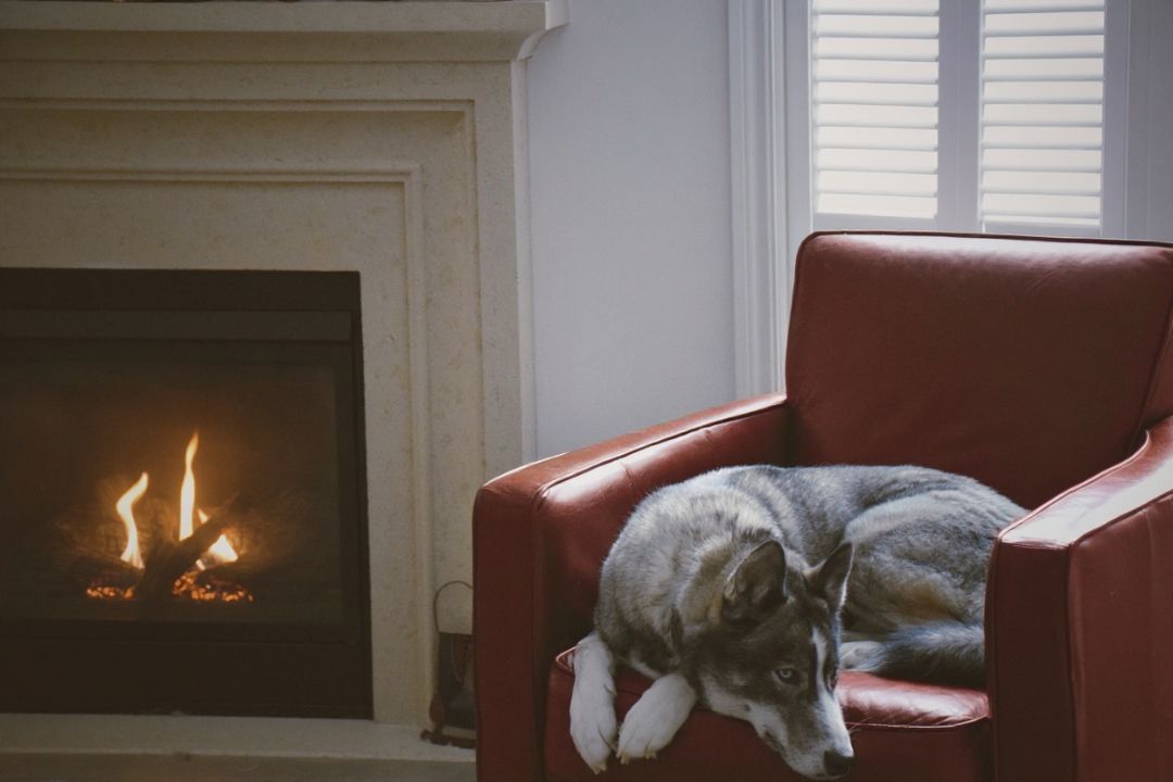 Cost and Value Considerations