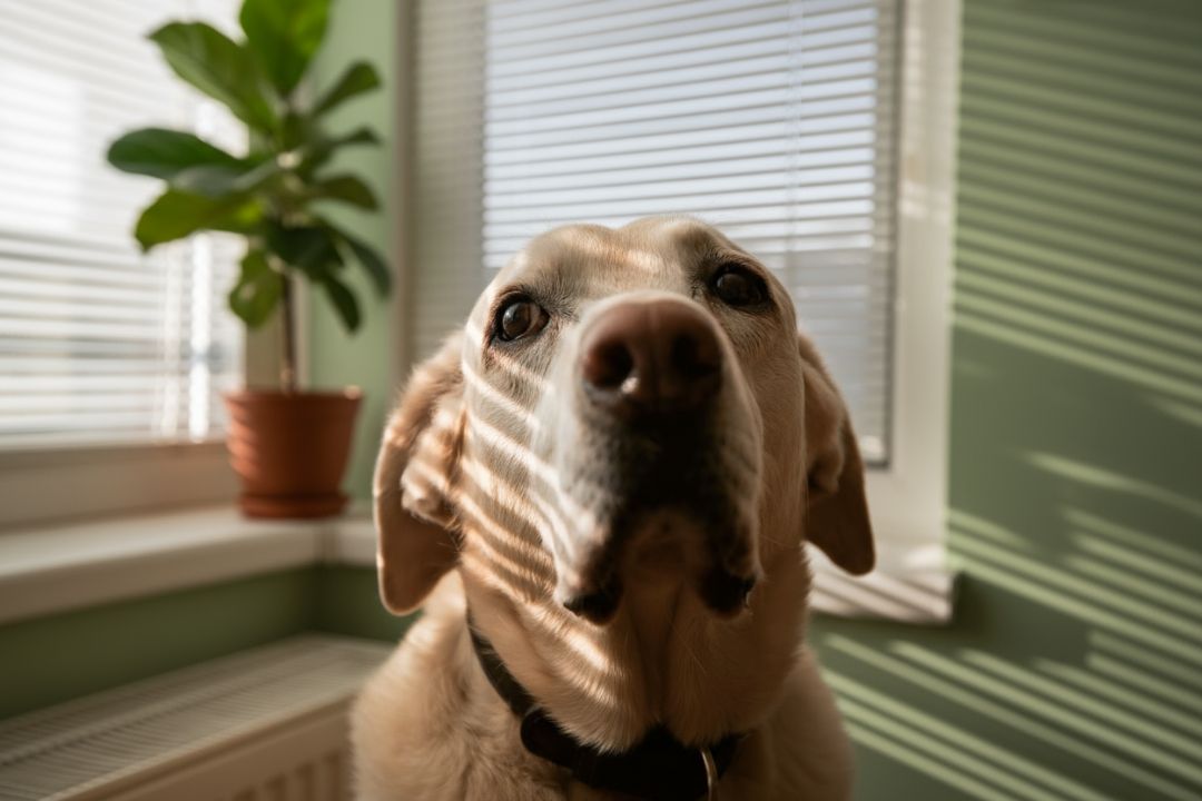 4. Aluminum Mini Blinds