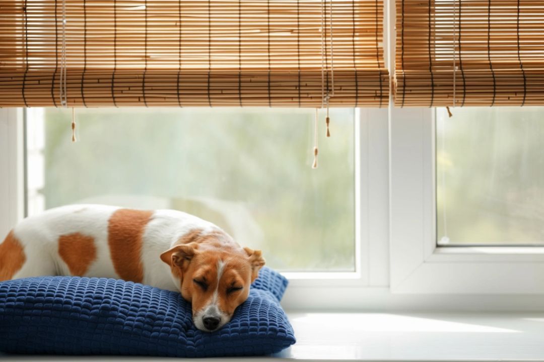 9. Bamboo Shades (With Liner)