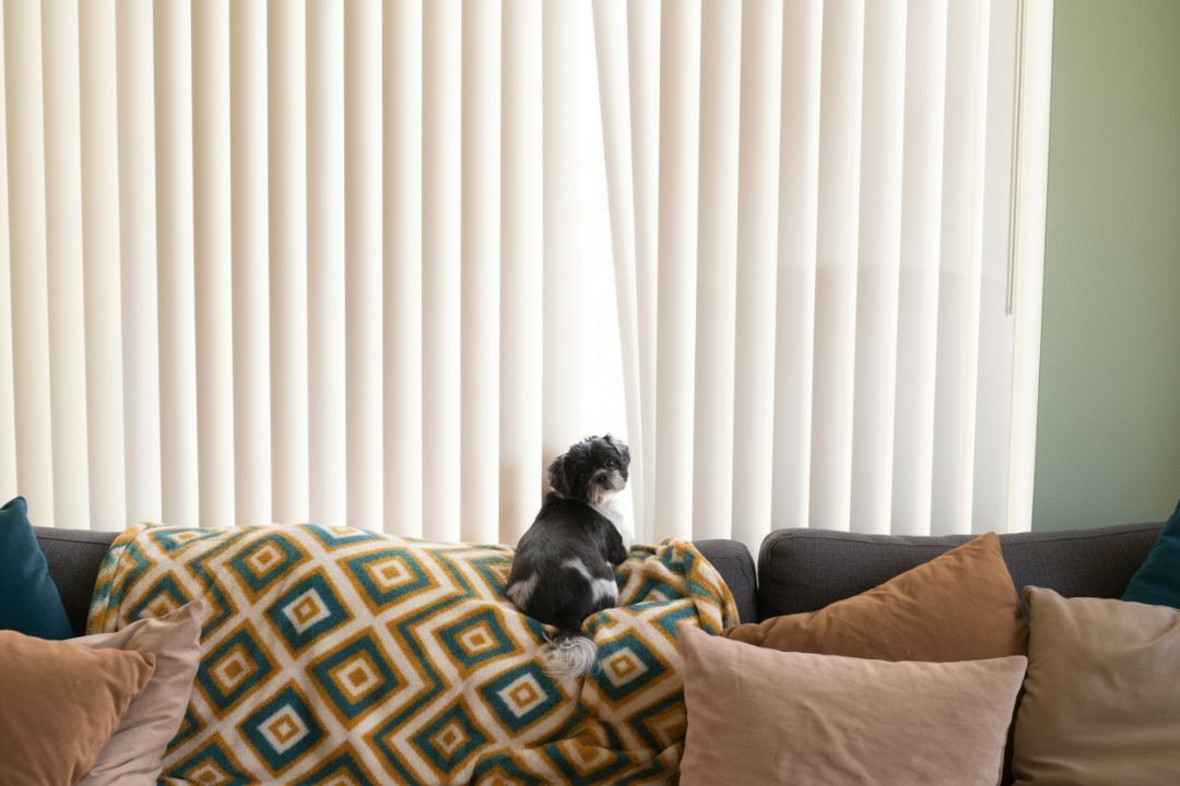 3. Vertical Blinds
