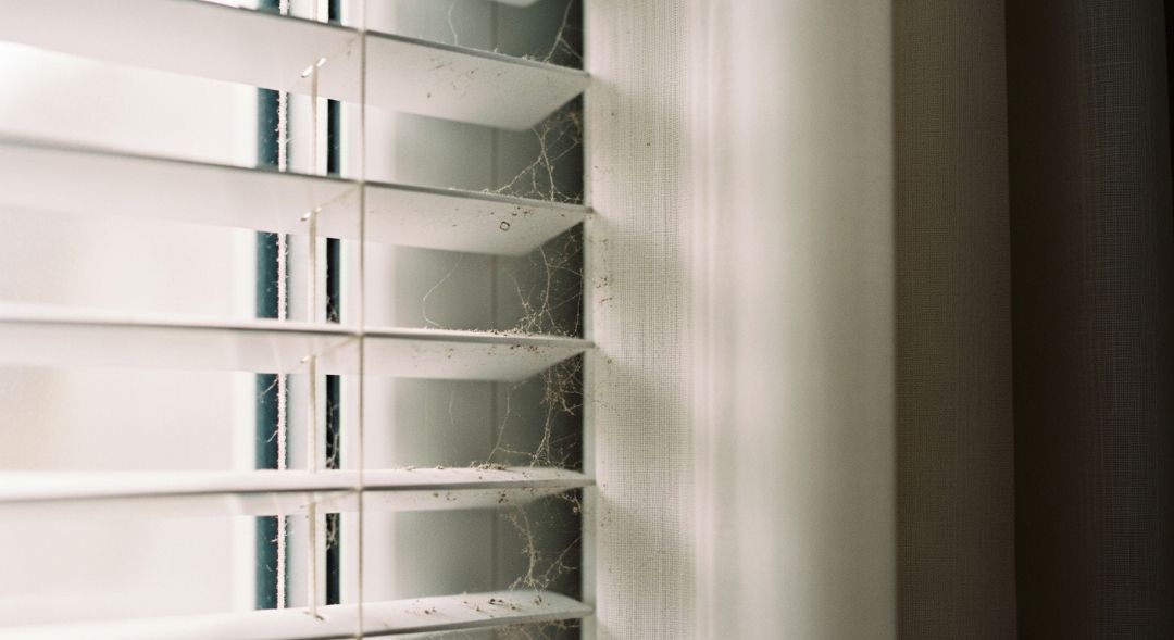 Single, Well-Chosen Curtains or Blinds