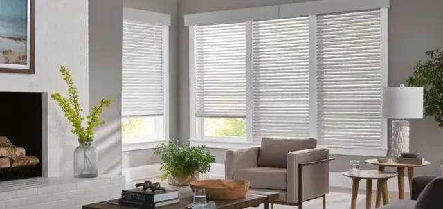 Motorized Window Blinds Solution TX