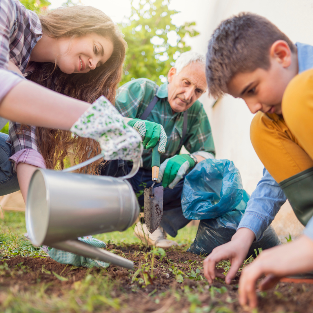 A group of people are working in a garden.