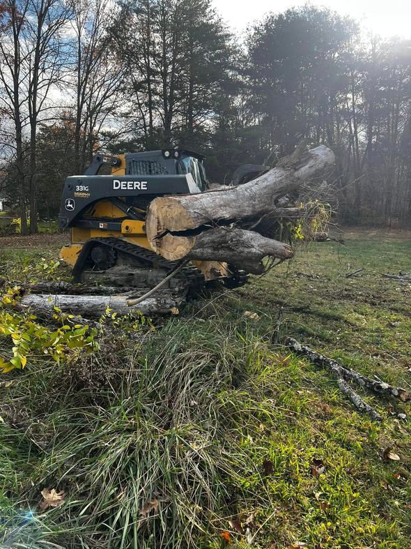 Yellow track loader moving a fallen tree trunk in a grassy area. Trees in the background.