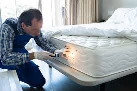 Bed Bug Heater Rental
