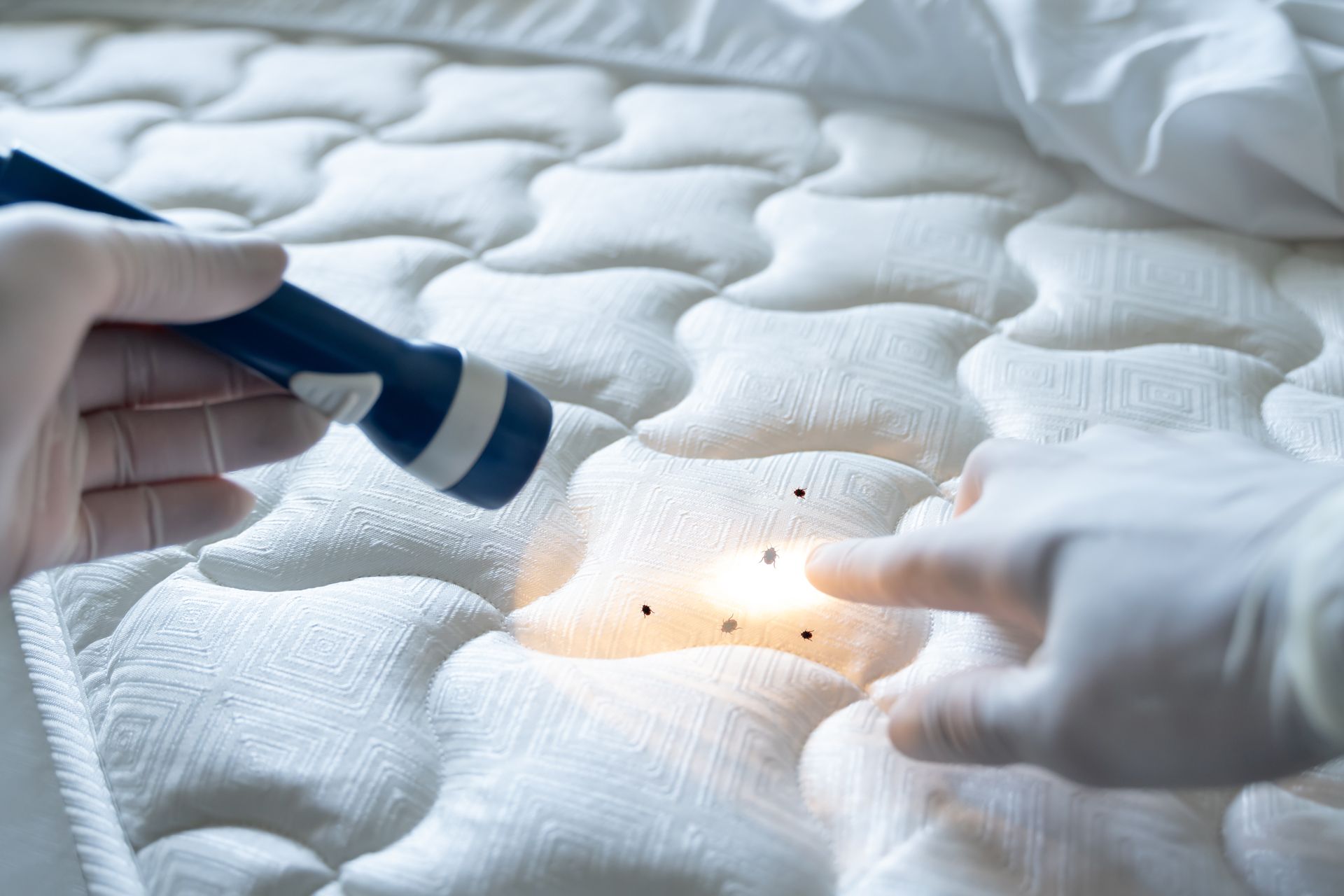 A person is Examining a Mattress