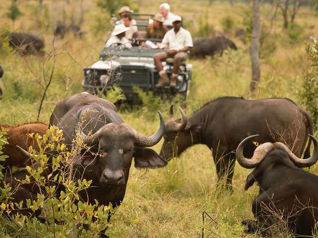 People gathered around a wooden table, toasting with drinks. Plates of food are present.