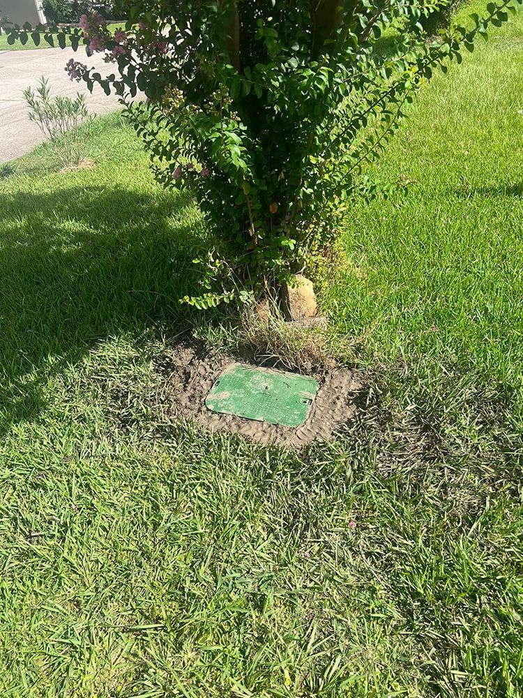 A green box is sitting in the middle of a lush green lawn next to a tree.