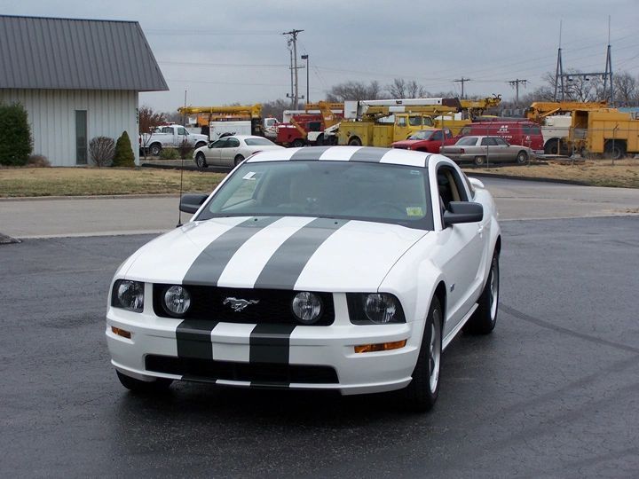 White Ford Mustang — Springfield, MO — Stripes and Stuff Graphics