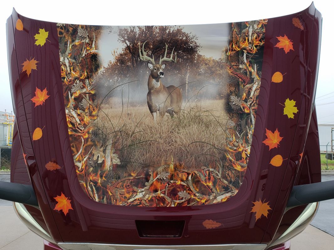 Deer Design On The Hood — Springfield, MO — Stripes and Stuff Graphics
