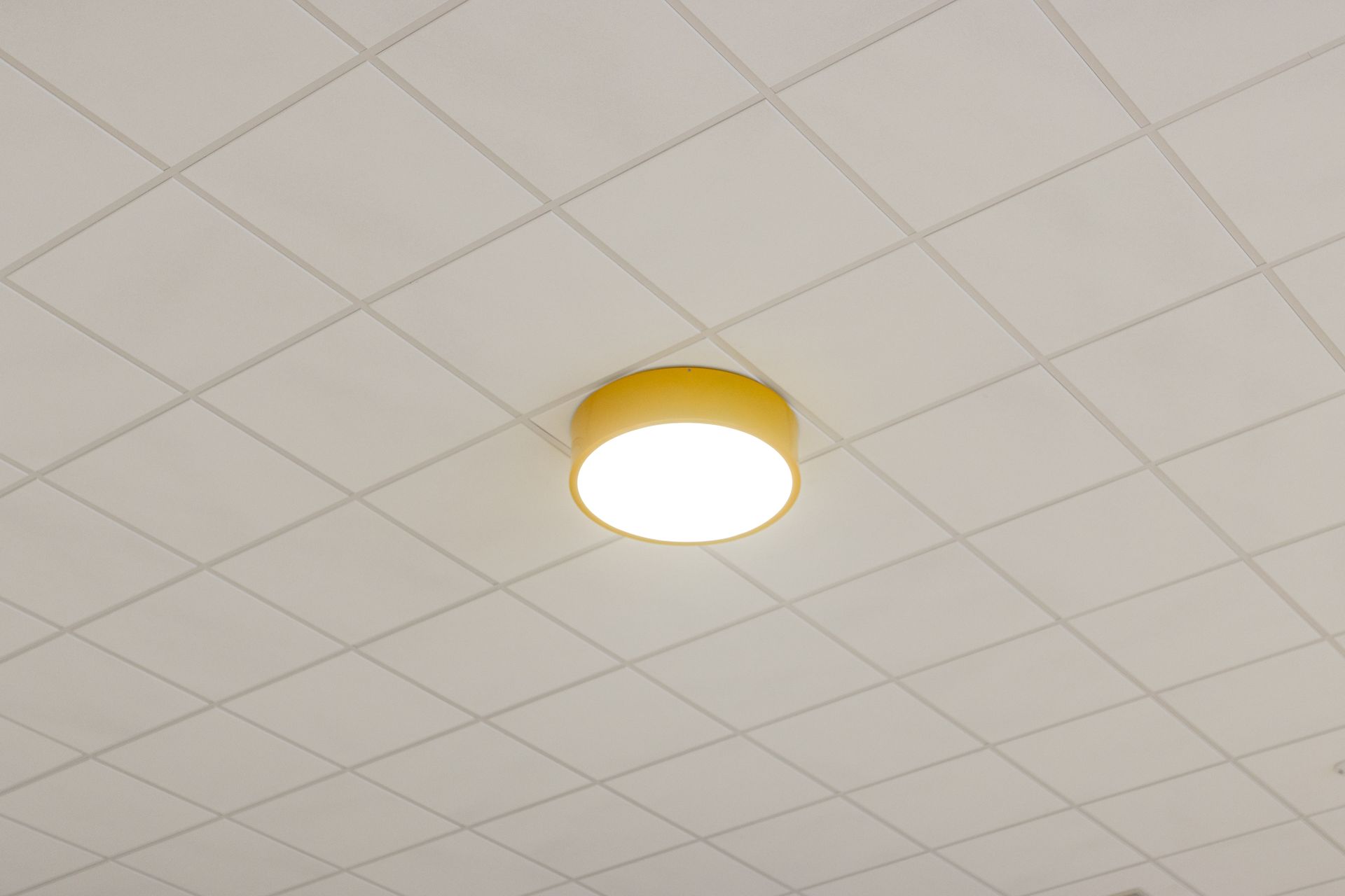 Mount Nittany Middle School Cafeteria's ceiling light centered on a white tiled ceiling