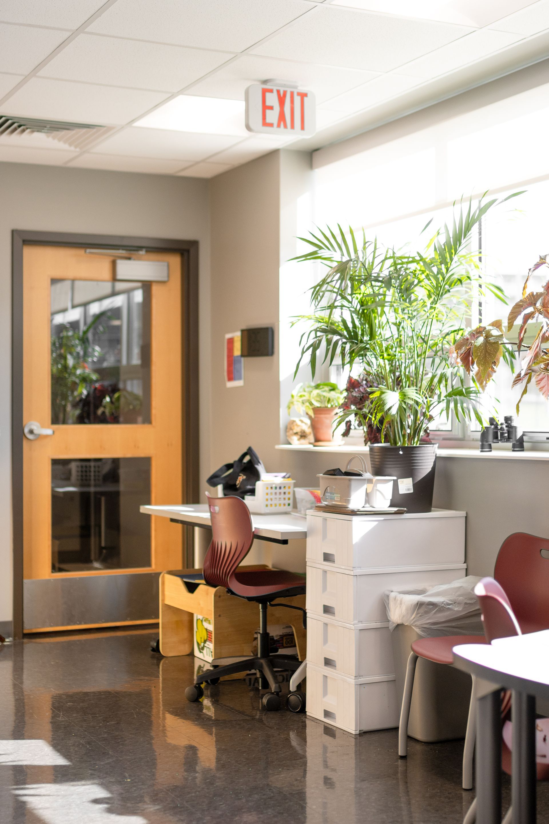 State College Area School District North Building's office hallway with desk, chairs, potted plants, and an exit sign near a wooden door