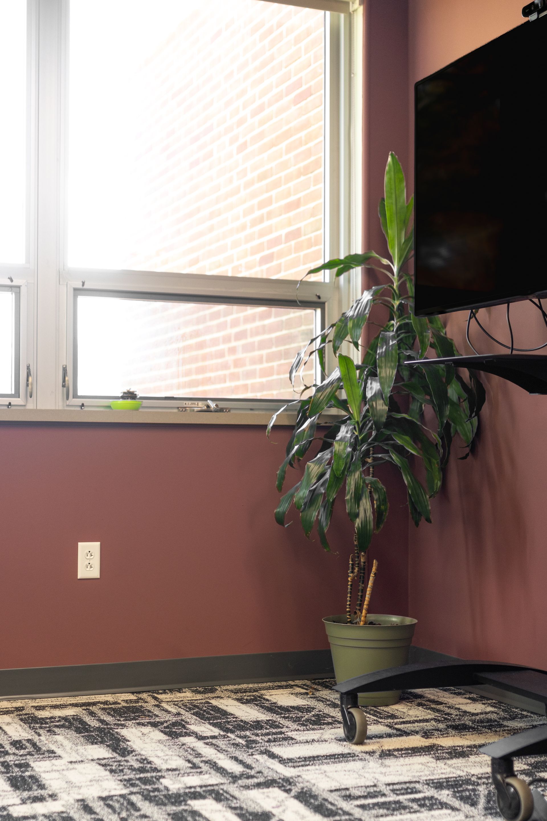 State College Area School District Panorama Village building's office corner with a potted plant beside a window and wall-mounted TV, over a patterned rug.