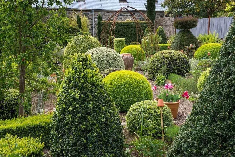 A garden filled with lots of trees and bushes.