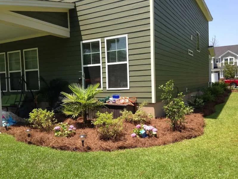 A house with a lot of plants in front of it