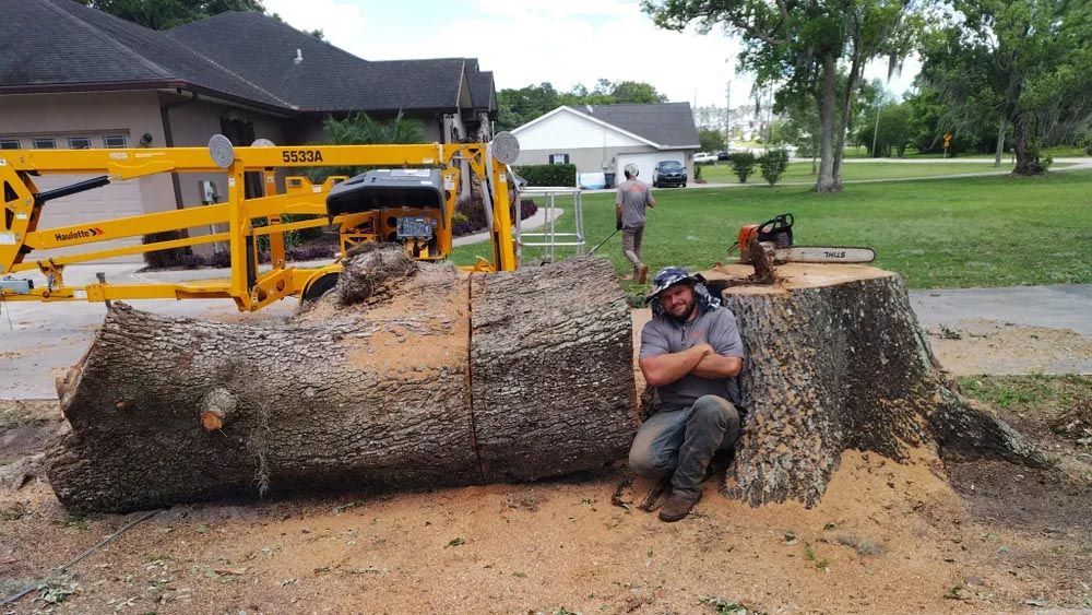 A man is sitting on a tree stump in front of a house.