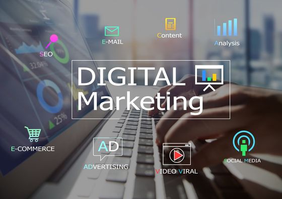 Digital Marketing — San Antonio, TX — YLA Marketing