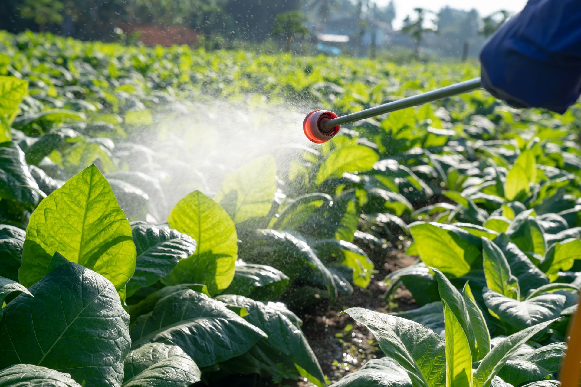 AGROFARMACI SPRUZZATI IN UN CAMPO