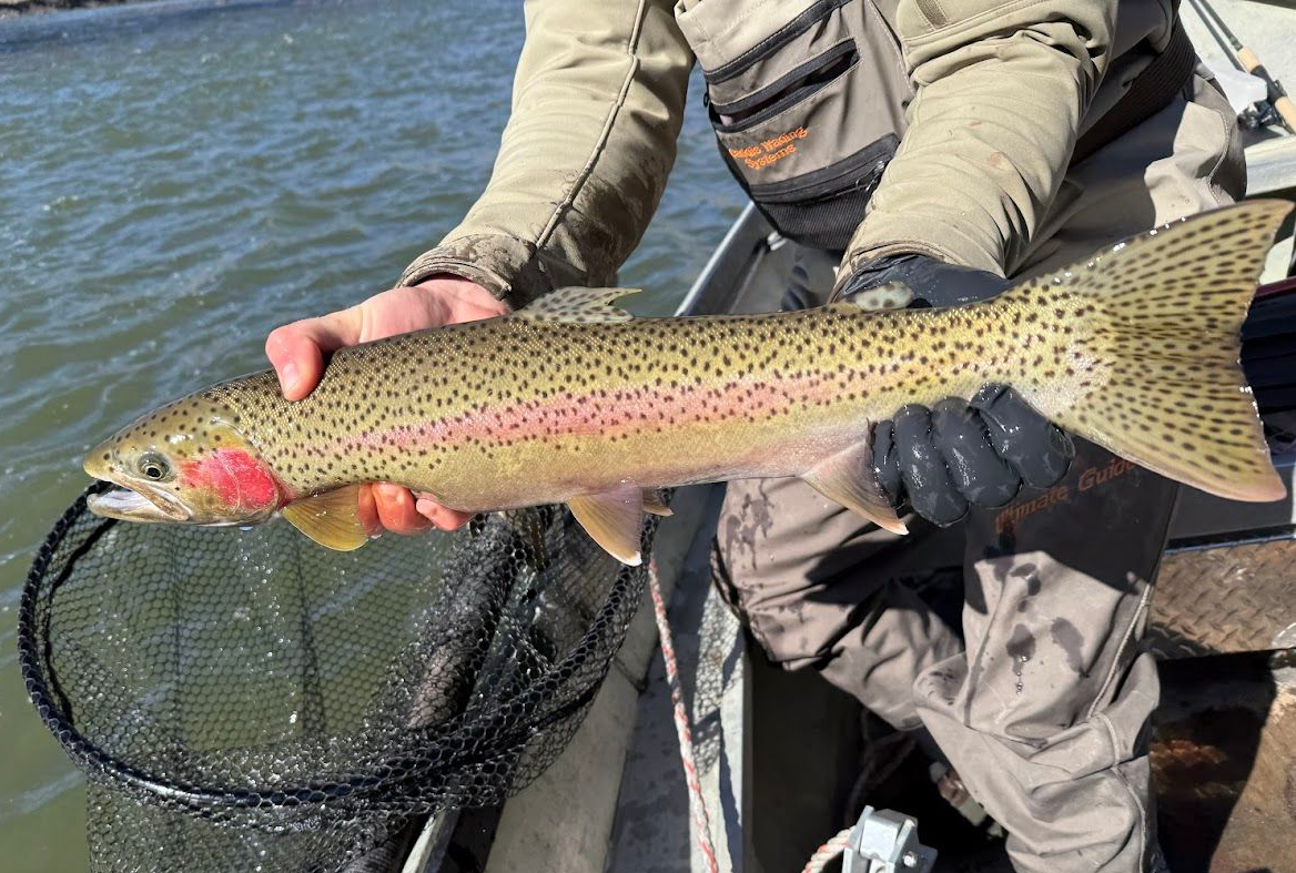 Fishing Trips
