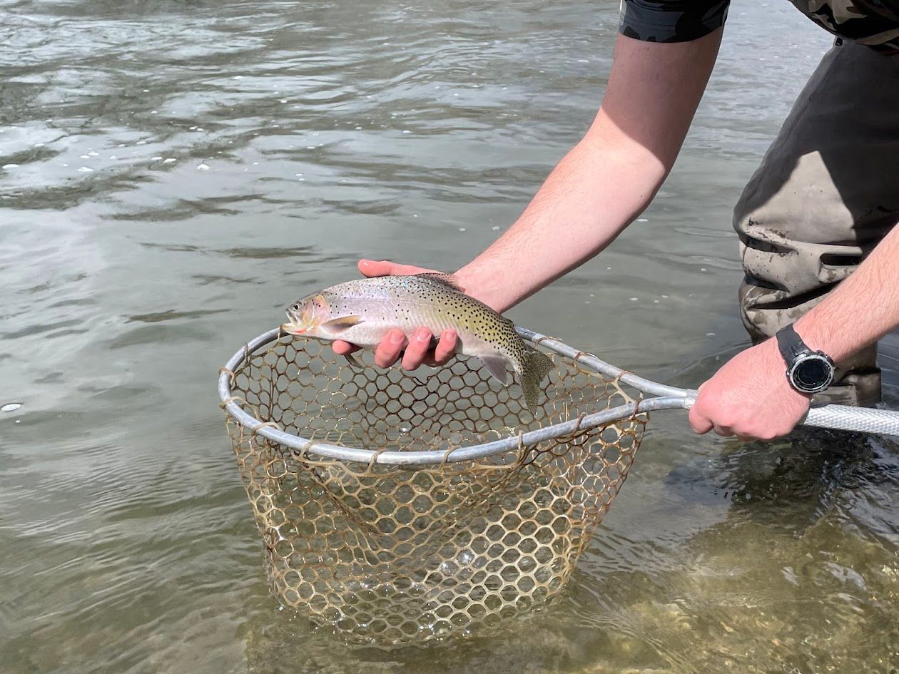 Rawhide River Trips Fishing