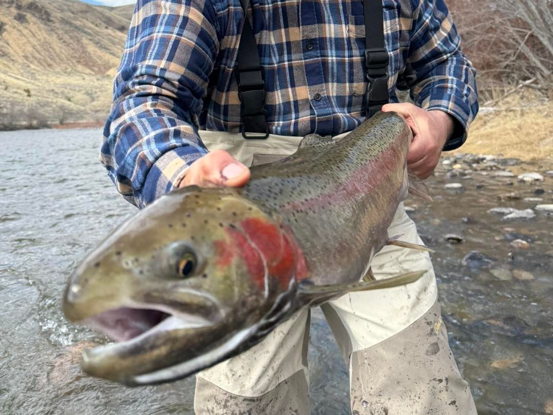 Rawhide River Trips Fishing
