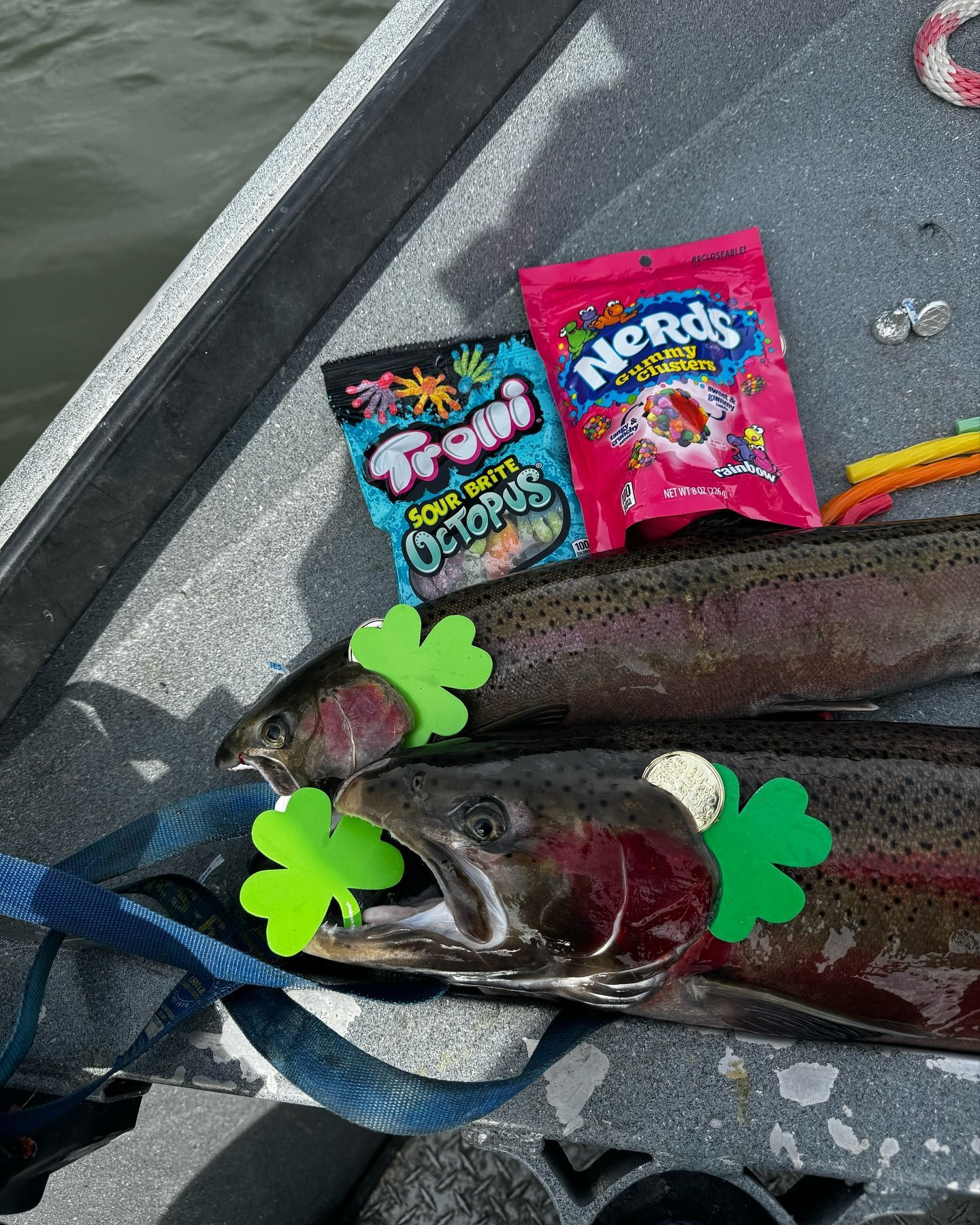 Rawhide River Trips Fishing