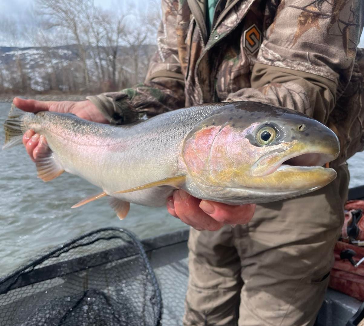 Rawhide River Trips Fishing
