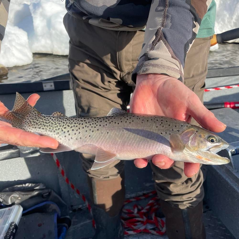 Rawhide River Trips Fishing