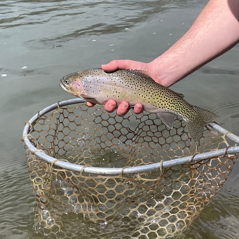Rawhide River Trips Fishing