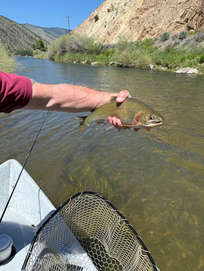 Rawhide River Trips Trout Fishing