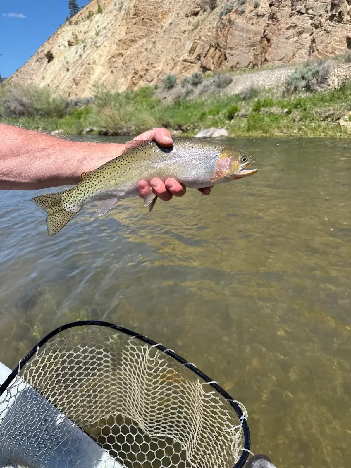 Rawhide River Trips Trout Fishing