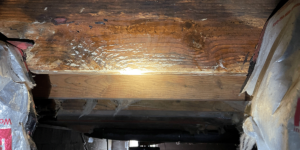 Unstable Wood – Danville, VA – Crawlspace Care Pro