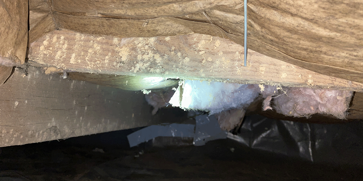 Close-up Of Powder Post Beetle Damage – Danville, VA – Crawlspace Care Pro