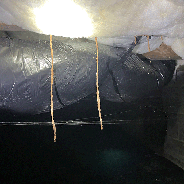 Termite Shelter Tubes On Ductwork – Danville, VA – Crawlspace Care Pro